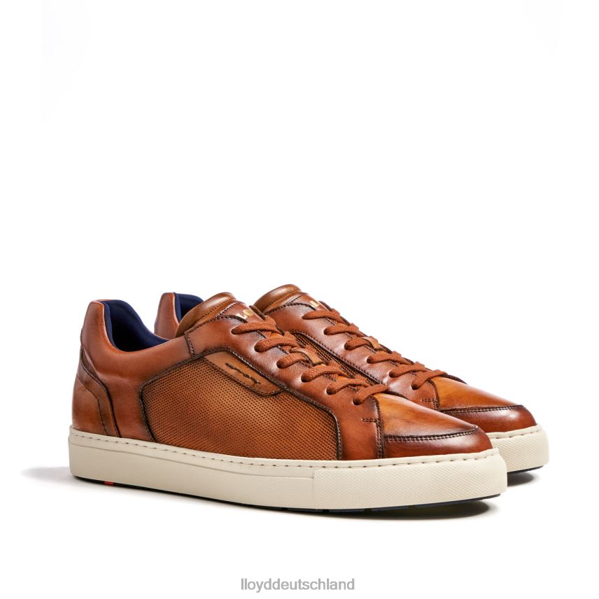 Schuhe LLOYD Málaga braun Männer PV6Z01327