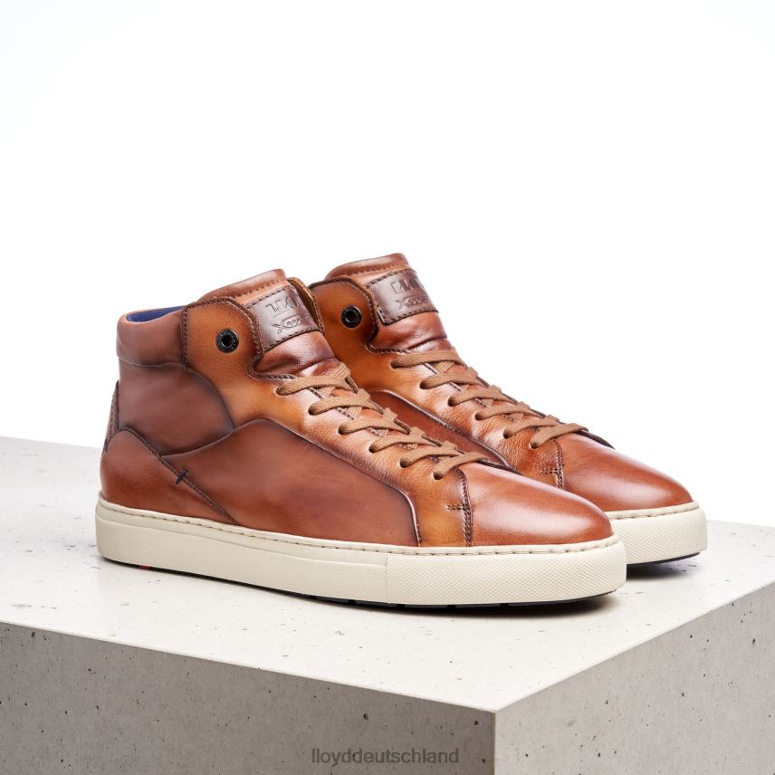 Schuhe LLOYD Marschall braun Männer PV6Z0254