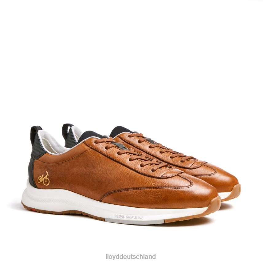 Schuhe LLOYD Velo 6 braun Männer PV6Z0435