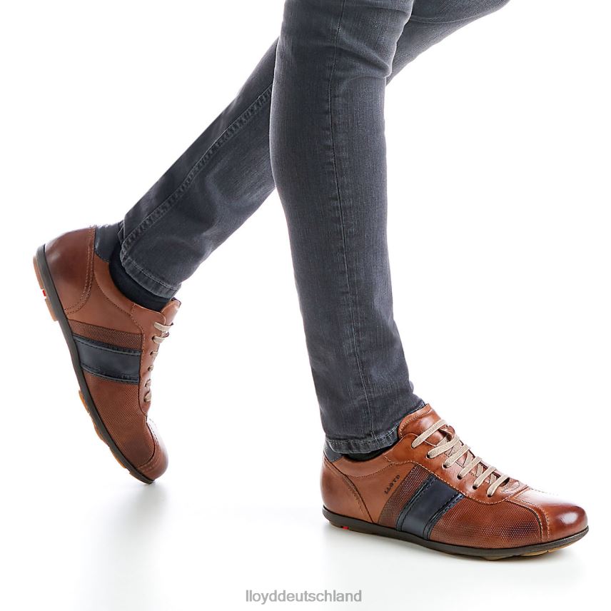 Schuhe LLOYD barett braun Männer PV6Z0354