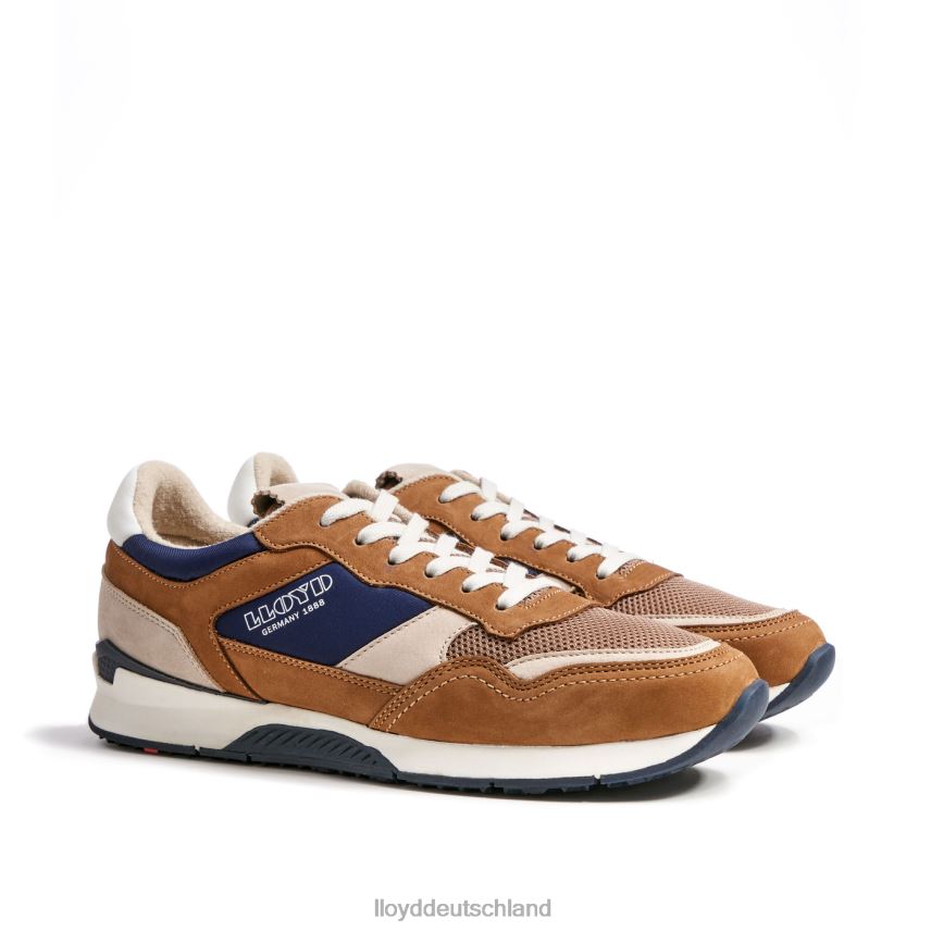 Schuhe LLOYD eloy braun Männer PV6Z0371