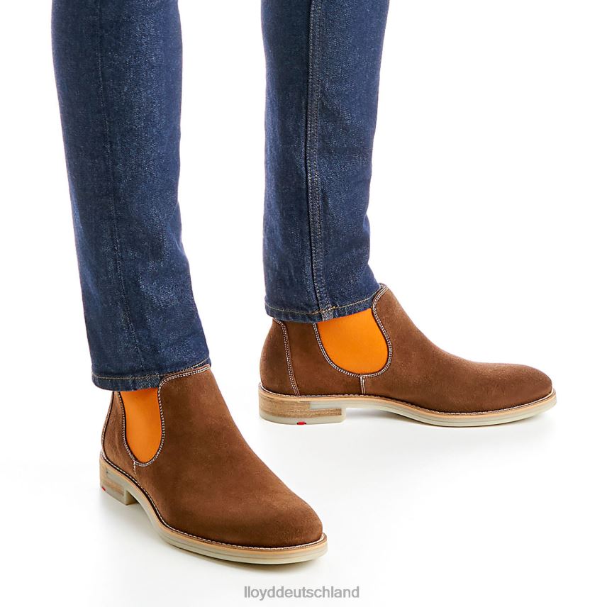 Schuhe LLOYD Dalby braun Männer PV6Z032