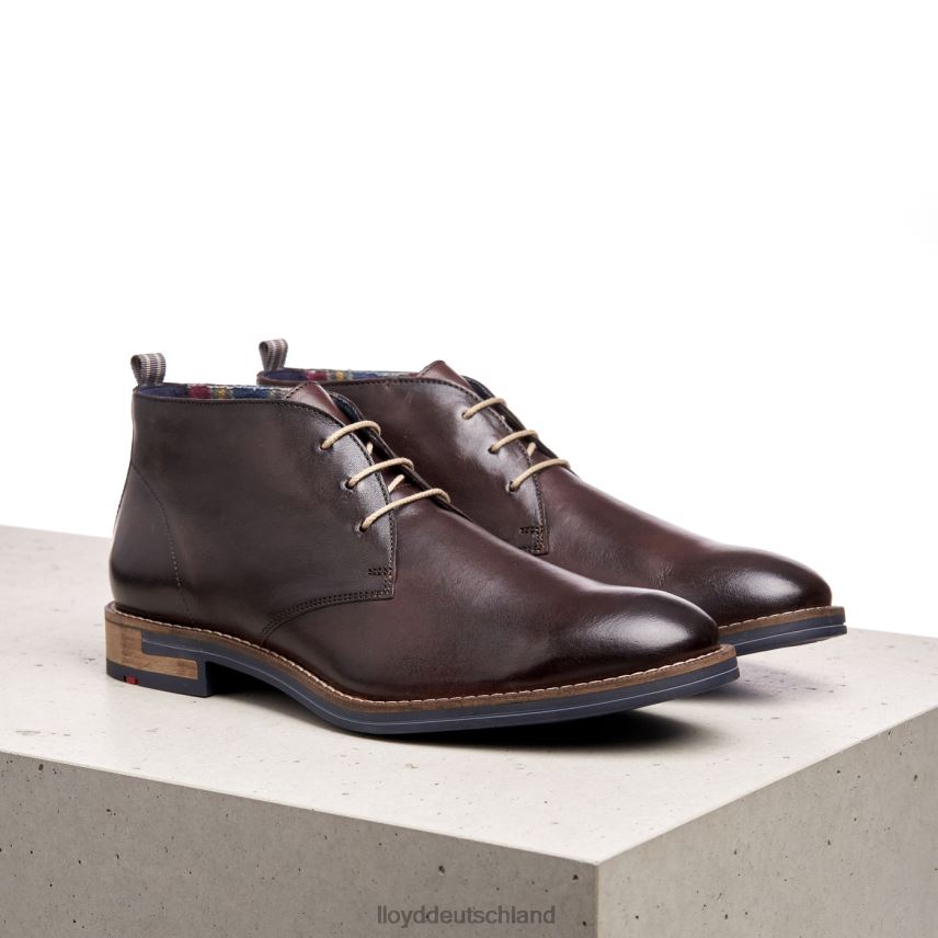 Schuhe LLOYD Daniel braun Männer PV6Z0168