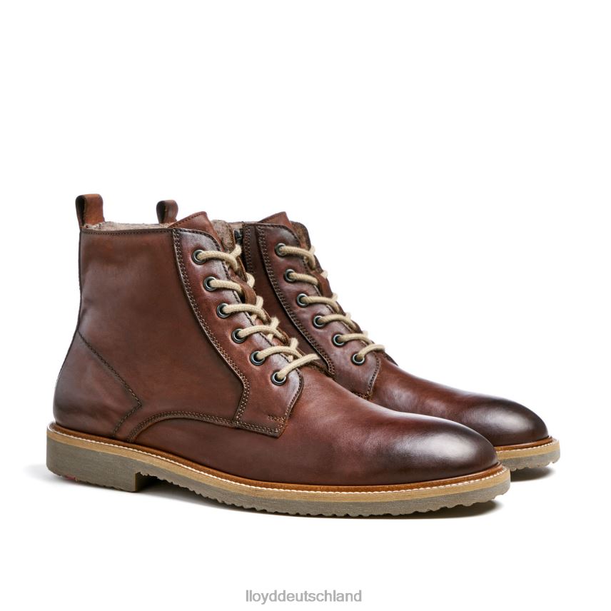 Schuhe LLOYD Darwin braun Männer PV6Z0475