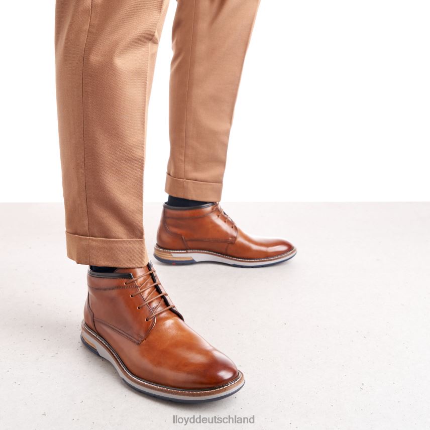 Schuhe LLOYD Gijón braun Männer PV6Z0556