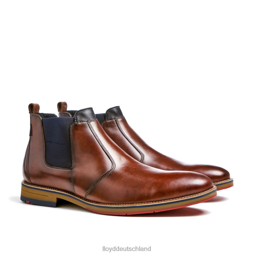 Schuhe LLOYD Vesuv braun Männer PV6Z0145