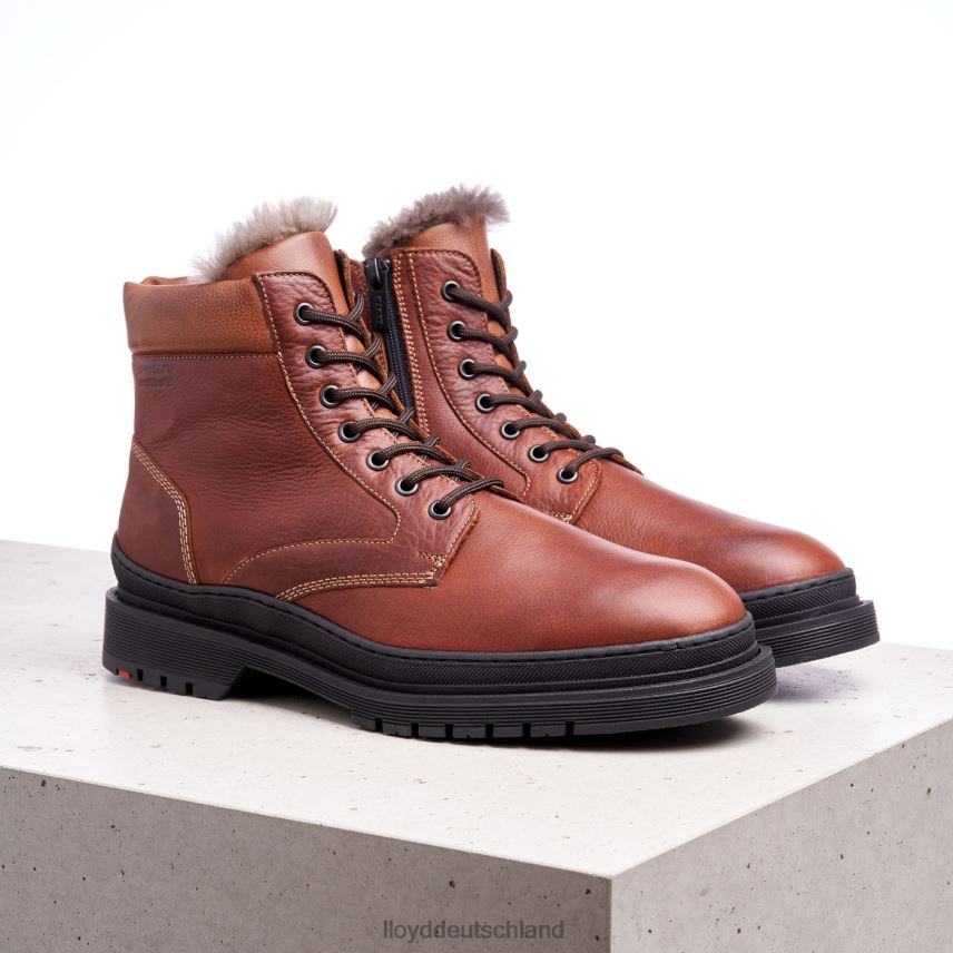 Schuhe LLOYD hollis braun Männer PV6Z0537