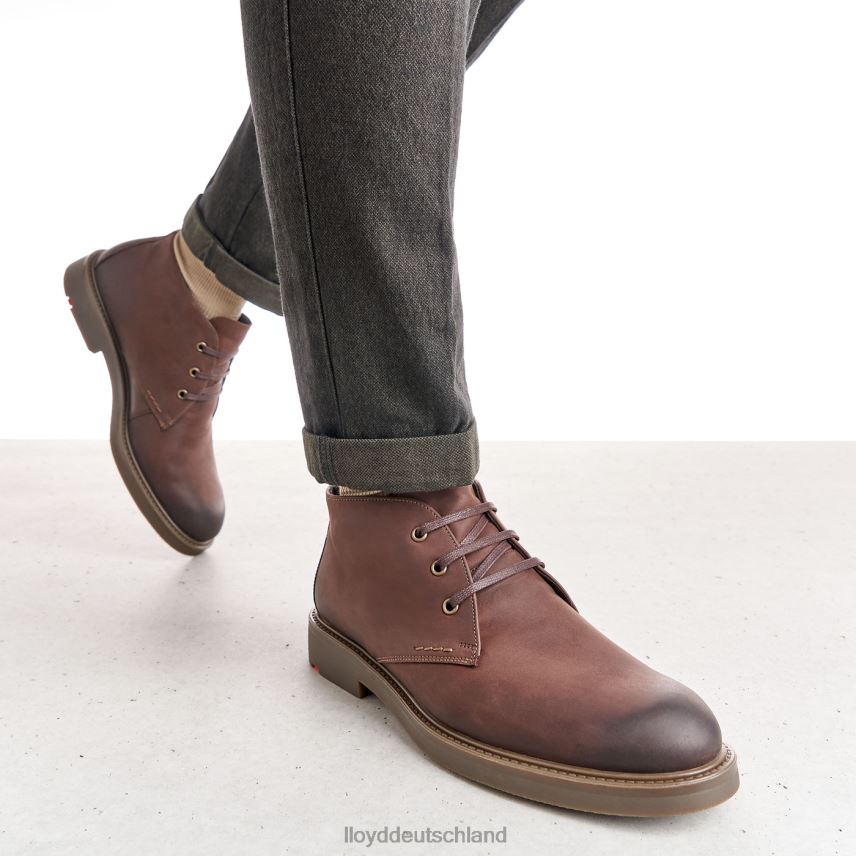Schuhe LLOYD skal braun Männer PV6Z06